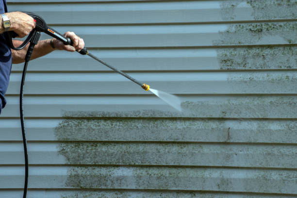 Best Solar Panel Cleaning  in Wellington, TX